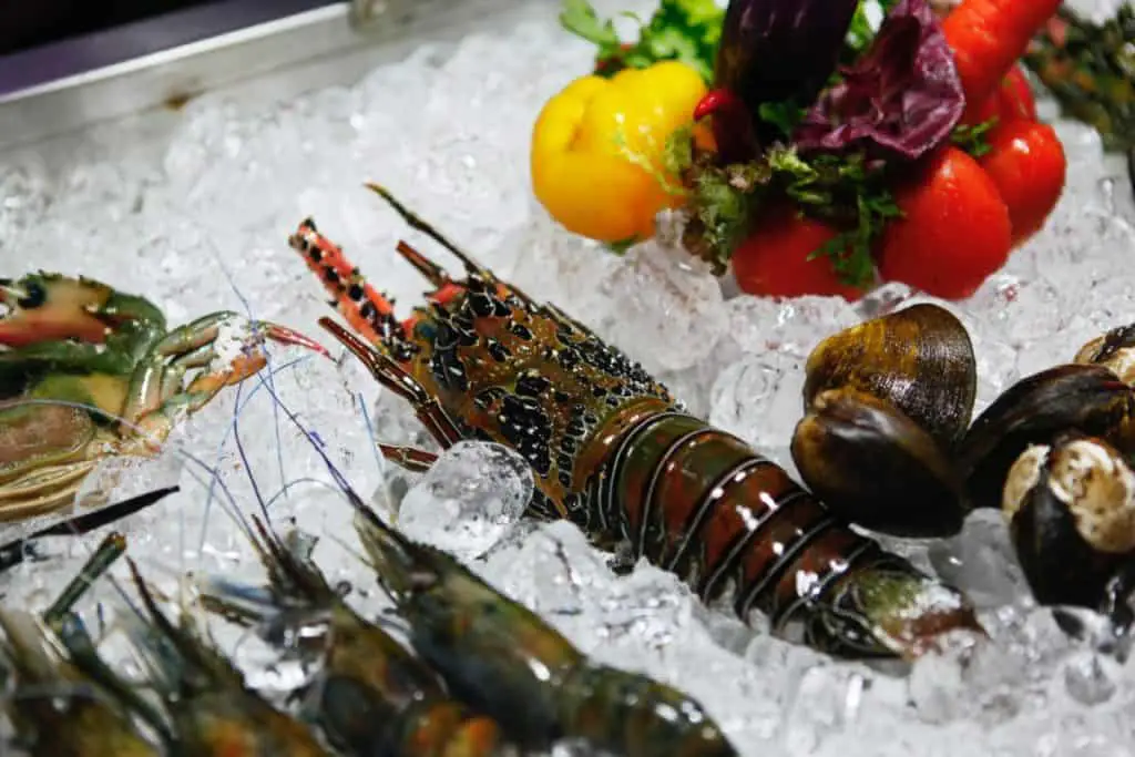 is-lobster-a-meat-fish-or-seafood-lobster-photo-2
