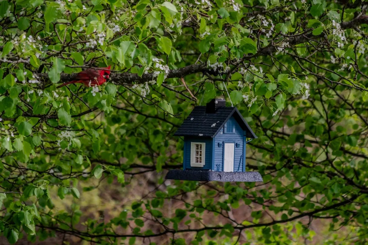Backyard Wildlife Guide
