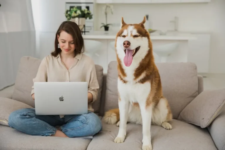 Beginner Pet Care Tips for New Dog and Cat Owners