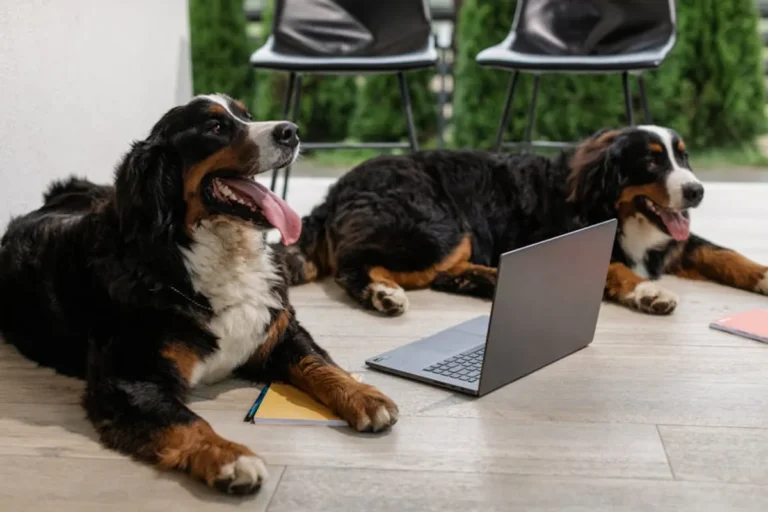 Best Dog Breeds for Families in 2026