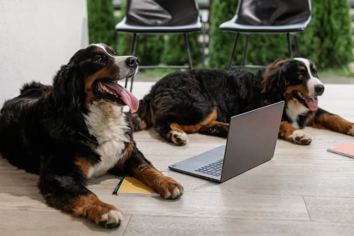 Best Dog Breeds for Families in 2026