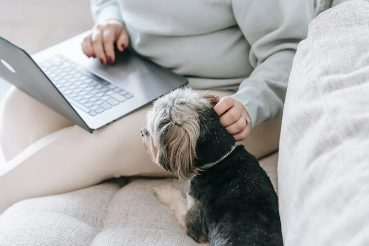 Best Pet Care Tips for First Time Owners