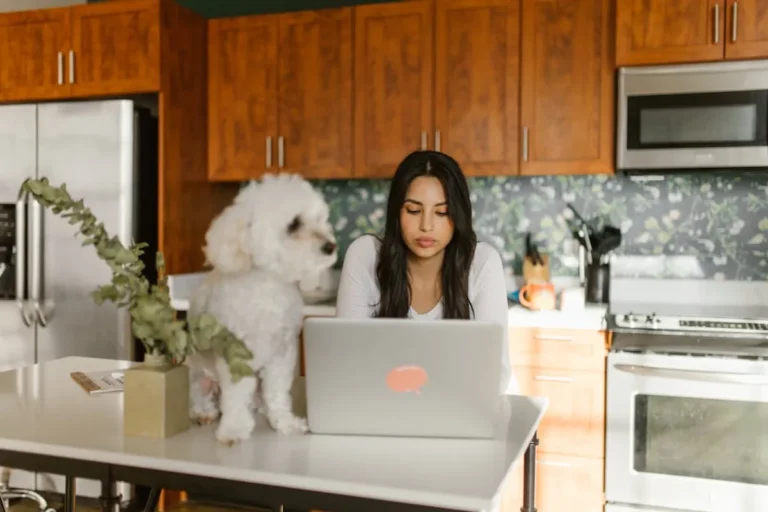 Best Small Pets for Apartments