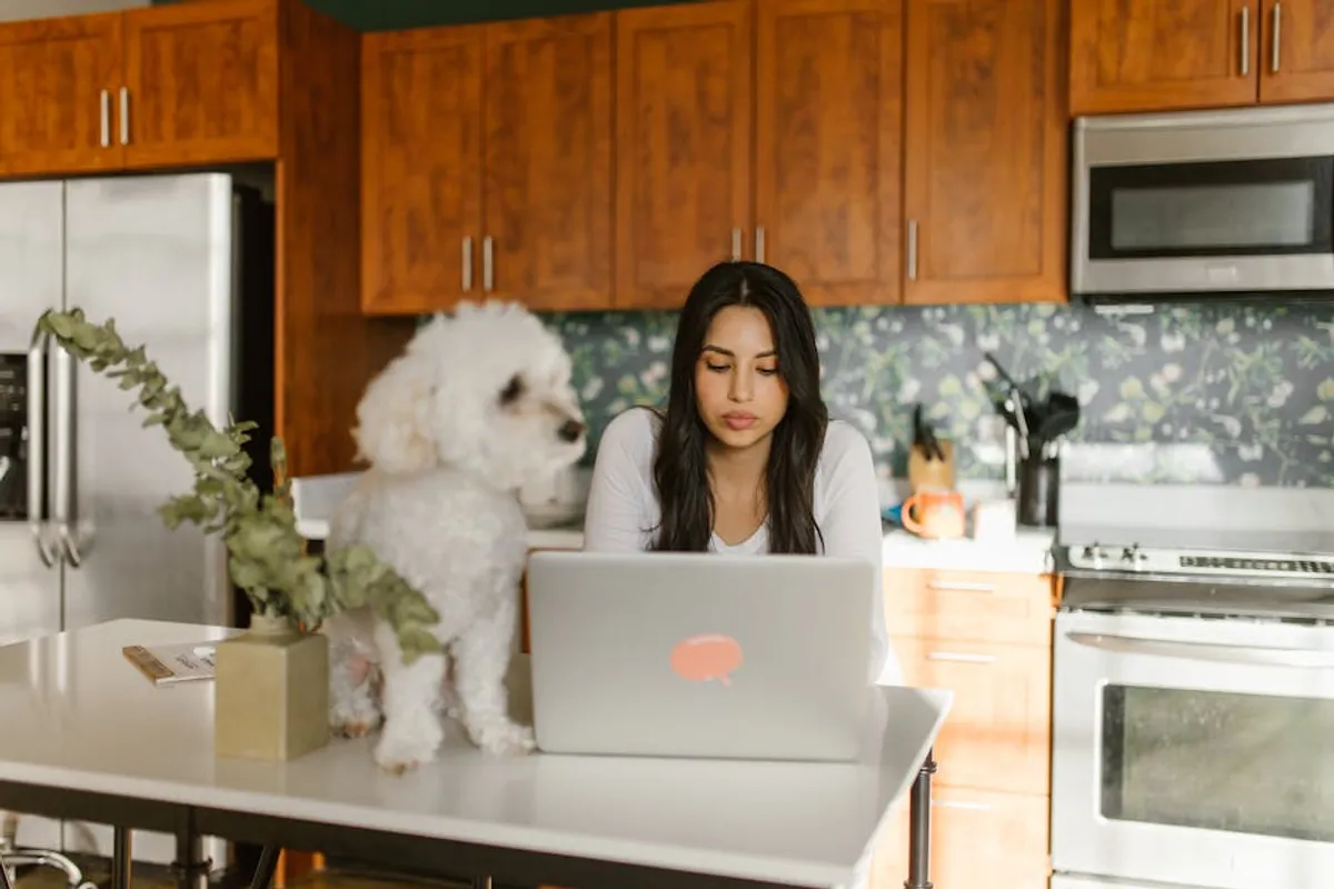 Best Small Pets for Apartments