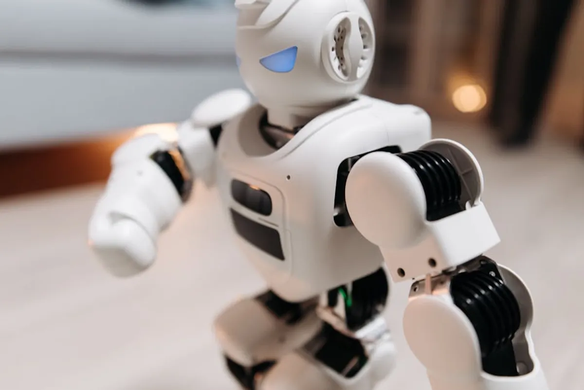 Best Toys for Active Dogs and Cats