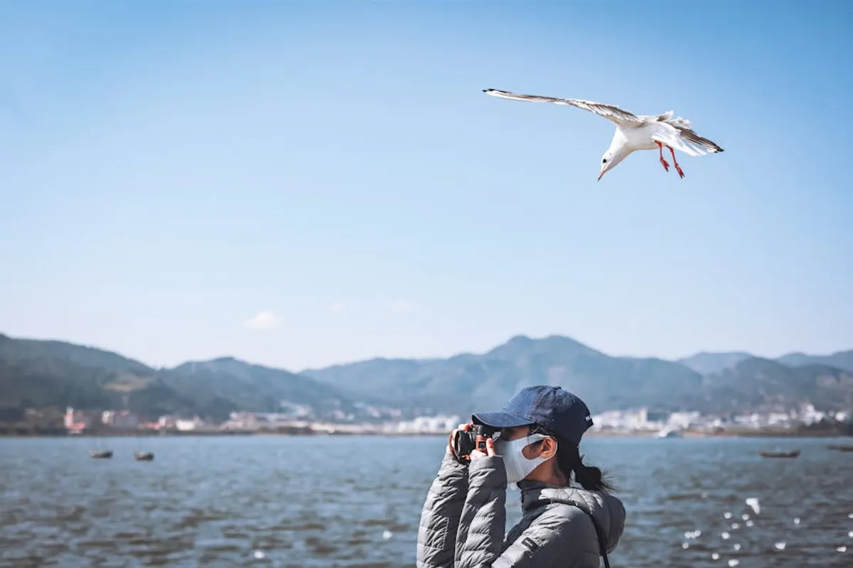 Bird Watching for Beginners