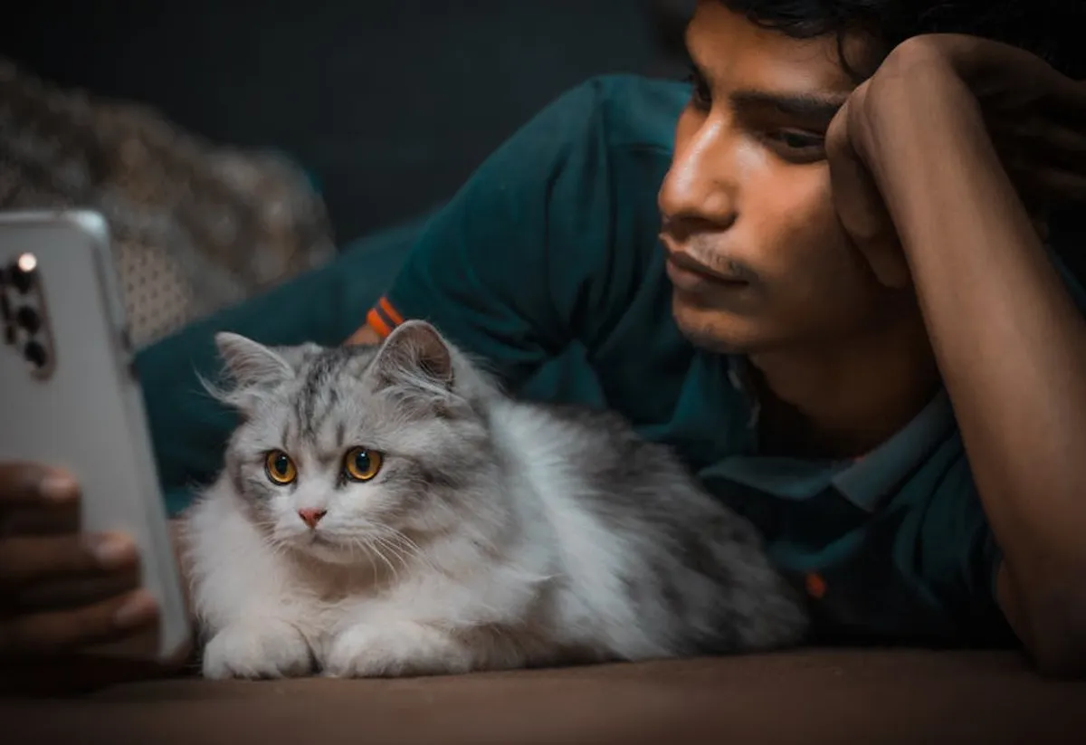Cat Body Language Explained for Beginners