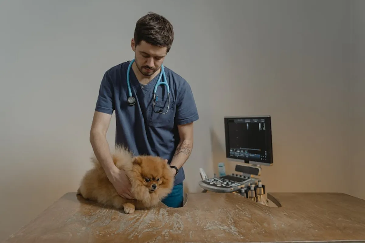 Dog Care Basics