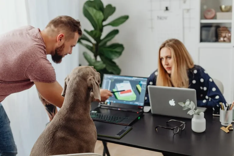 How to Build a Pet Routine