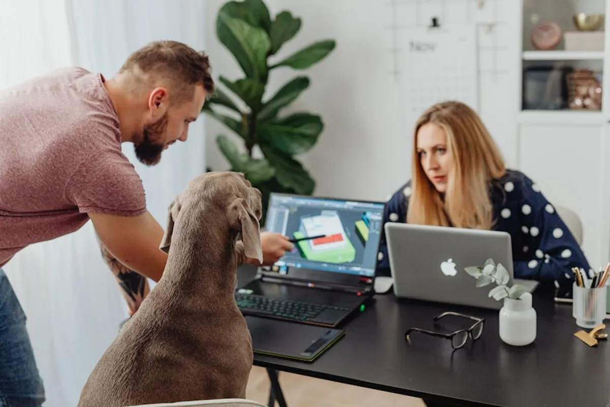 How to Build a Pet Routine