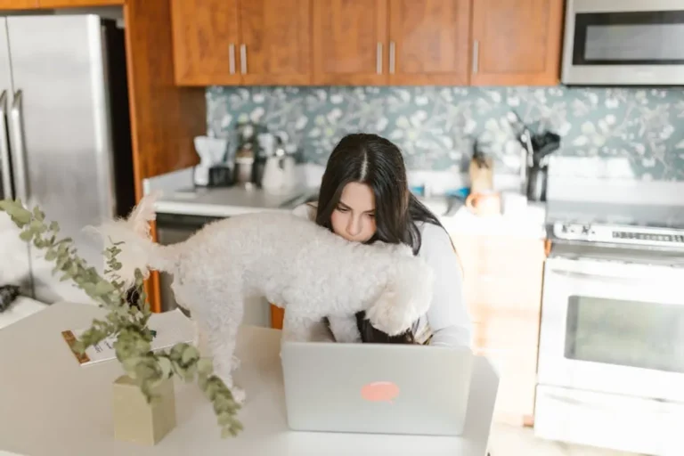 How to Choose Pet Toys That Are Safe and Useful