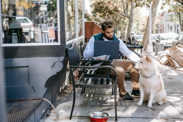 How to Create a Pet Emergency Kit