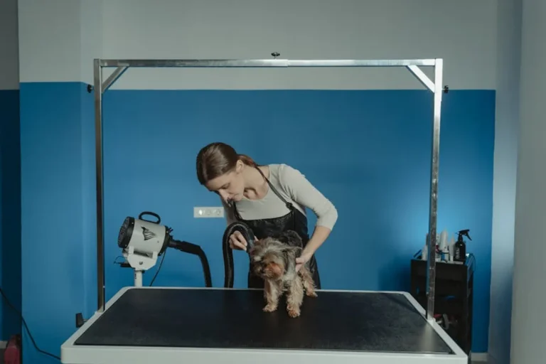 How to Groom Pets at Home