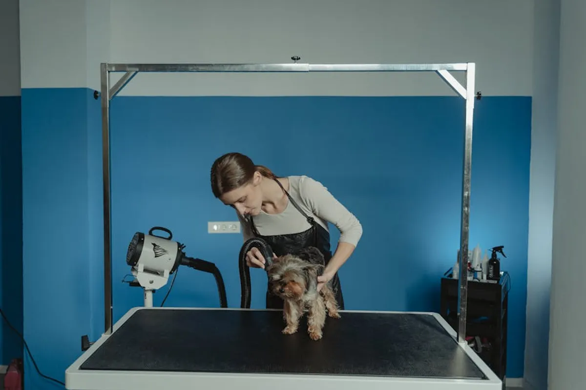 How to Groom Pets at Home