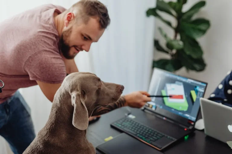 How to Help Pets Adjust to a New Home