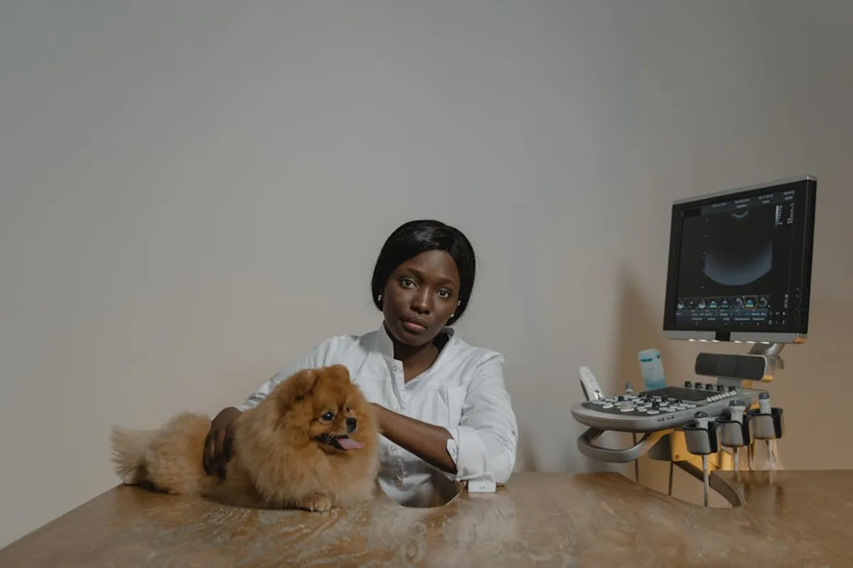 Pet Health Symptoms That Should Not Be Ignored