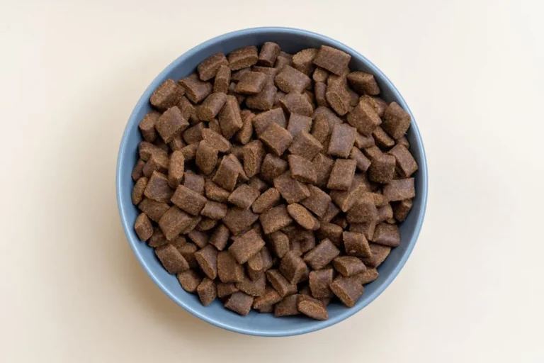 Pet Nutrition Basics