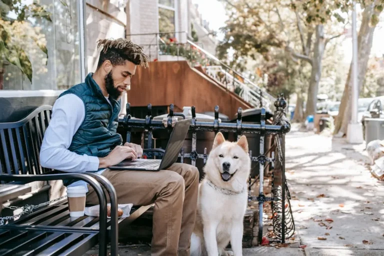 What pet owners and animal content publishers Can Learn From kongotech.org