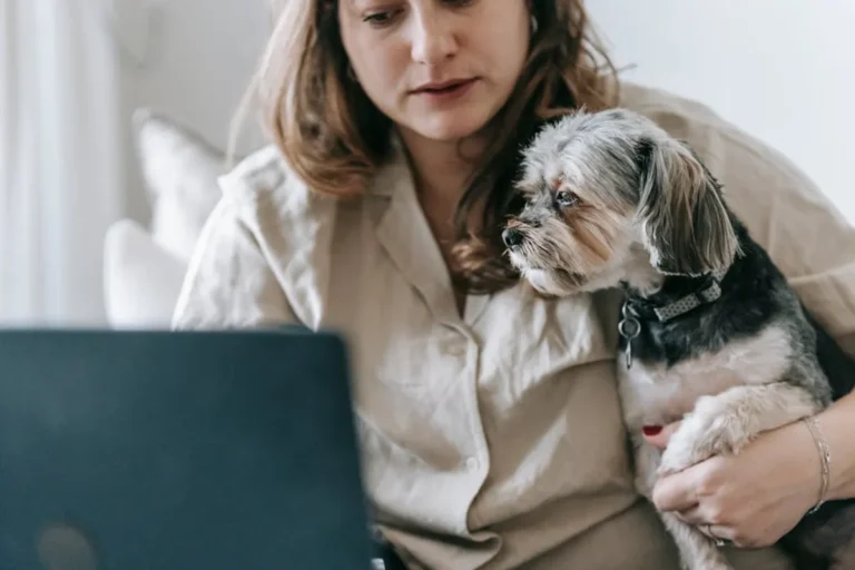 What pet owners and animal content publishers Can Learn From technofee.com