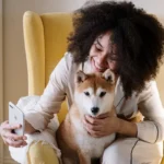 What pet owners and animal content publishers Should Know About fontmirror.com