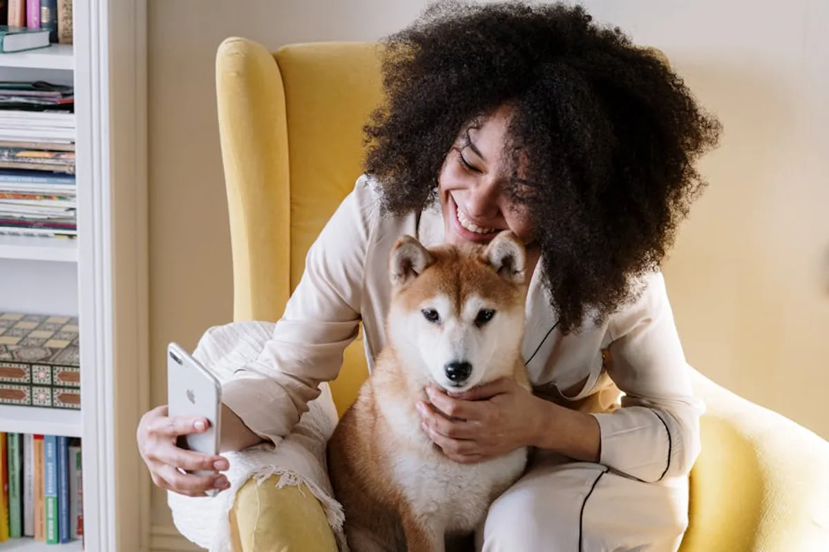 What pet owners and animal content publishers Should Know About fontmirror.com