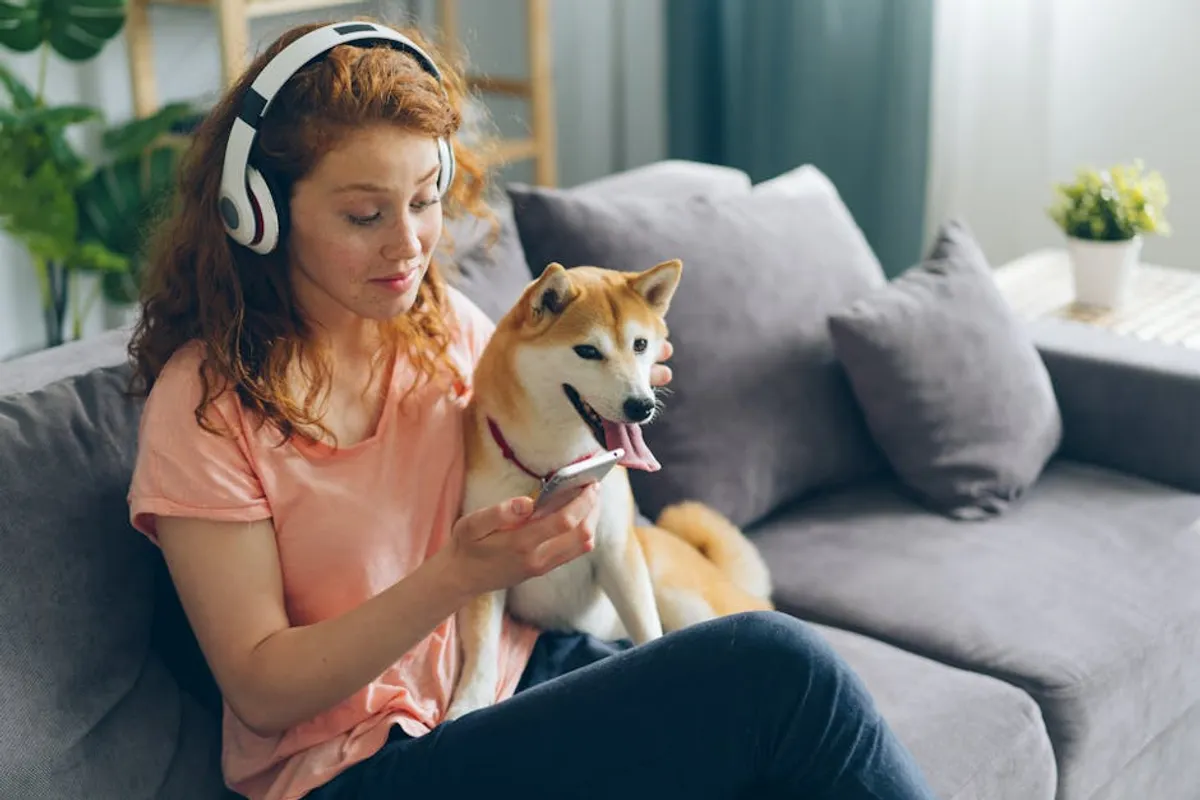 What pet owners and animal content publishers Should Know About theinstanavigation.com
